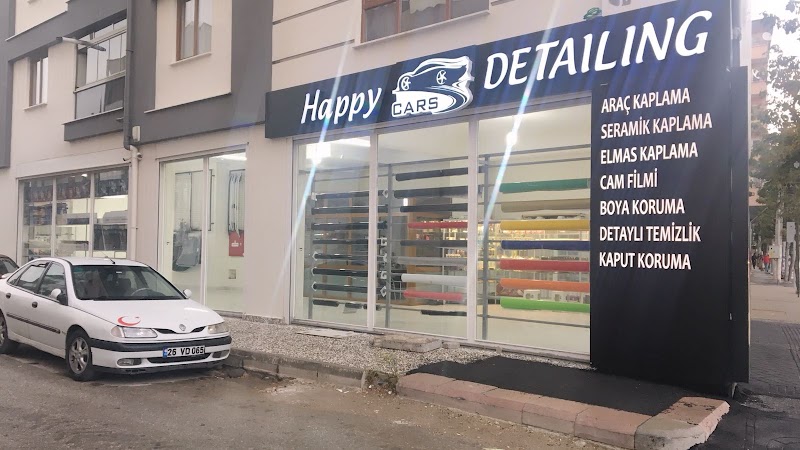 Happy car’s detailing